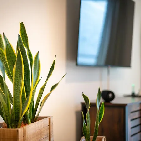 Easybike Balkon Switch 4p Grill * Арнсберг