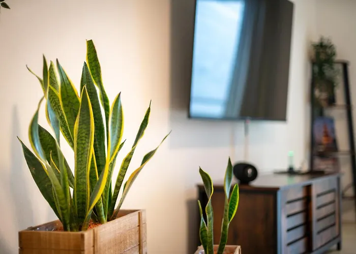 Easybike Balkon Switch 4p Grill * Arnsberg